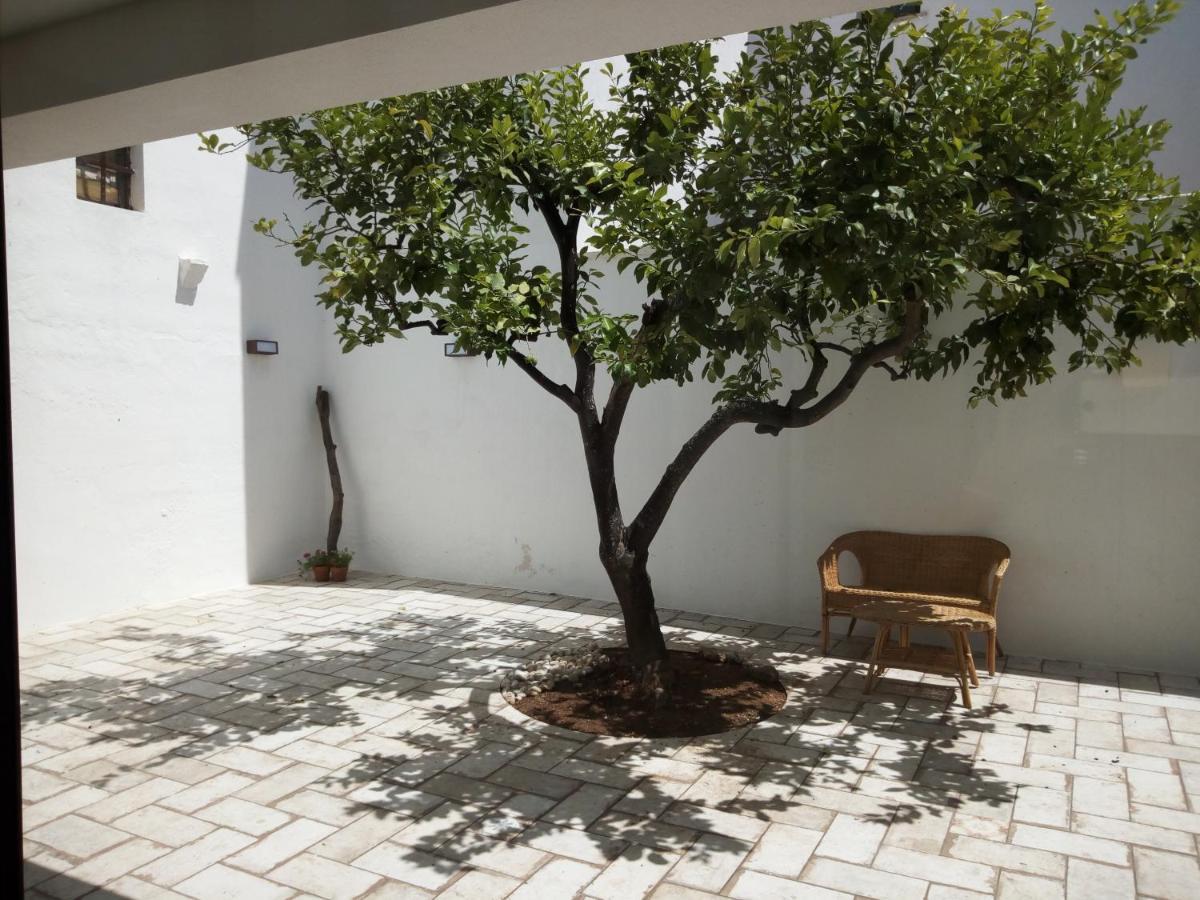Bed and Breakfast Cortile Calinea Castrignano del Capo Zewnętrze zdjęcie